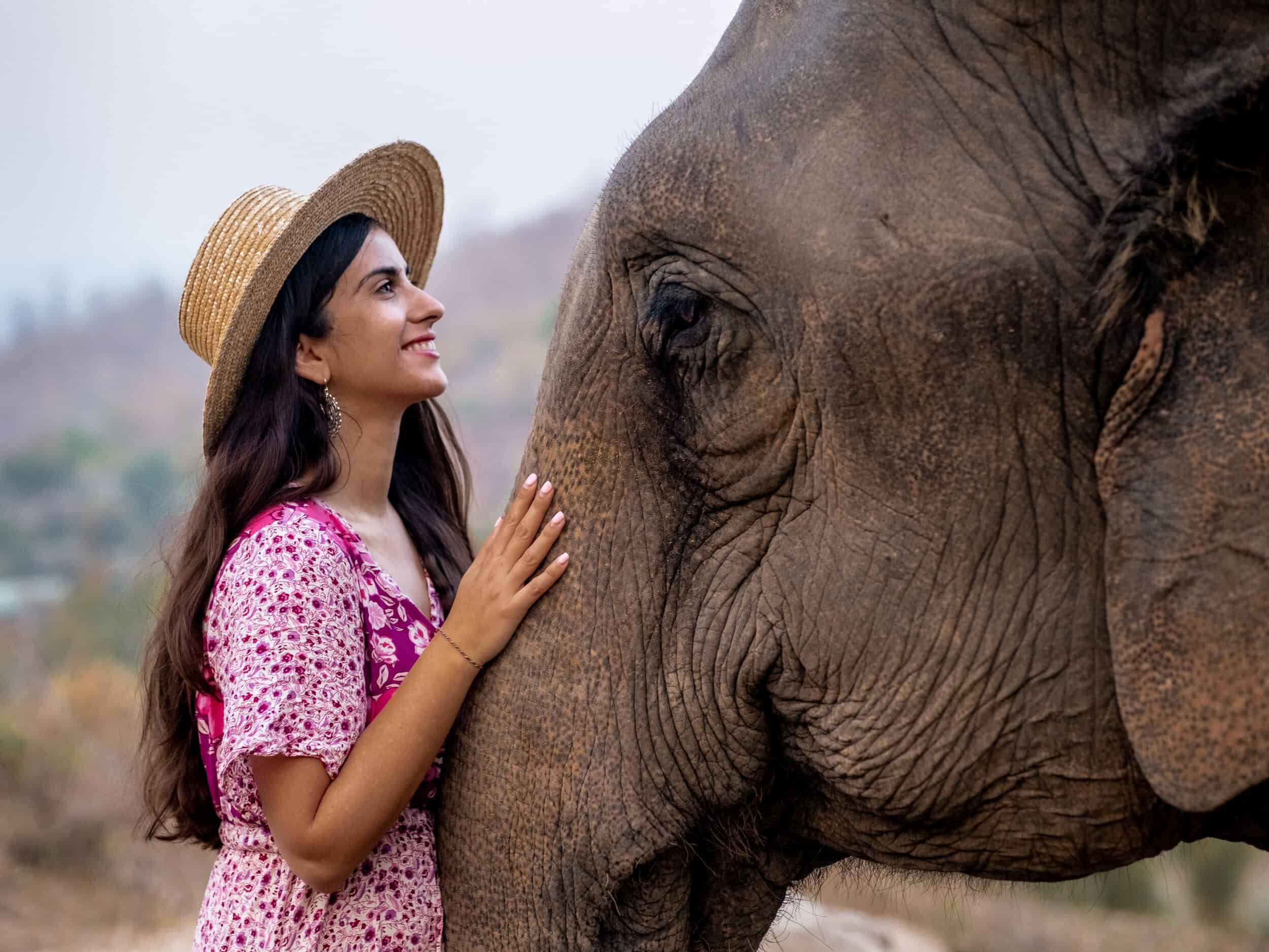 Chai Lai Orchid Eco Lodge: With Rescued Elephants In Chiang Mai