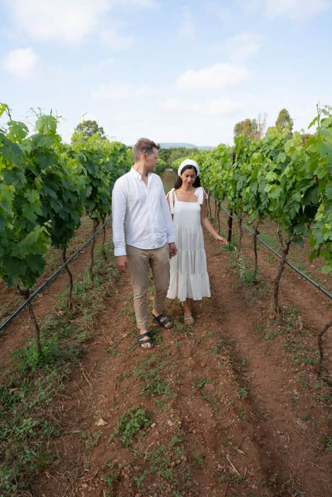 Vineyard in Italy