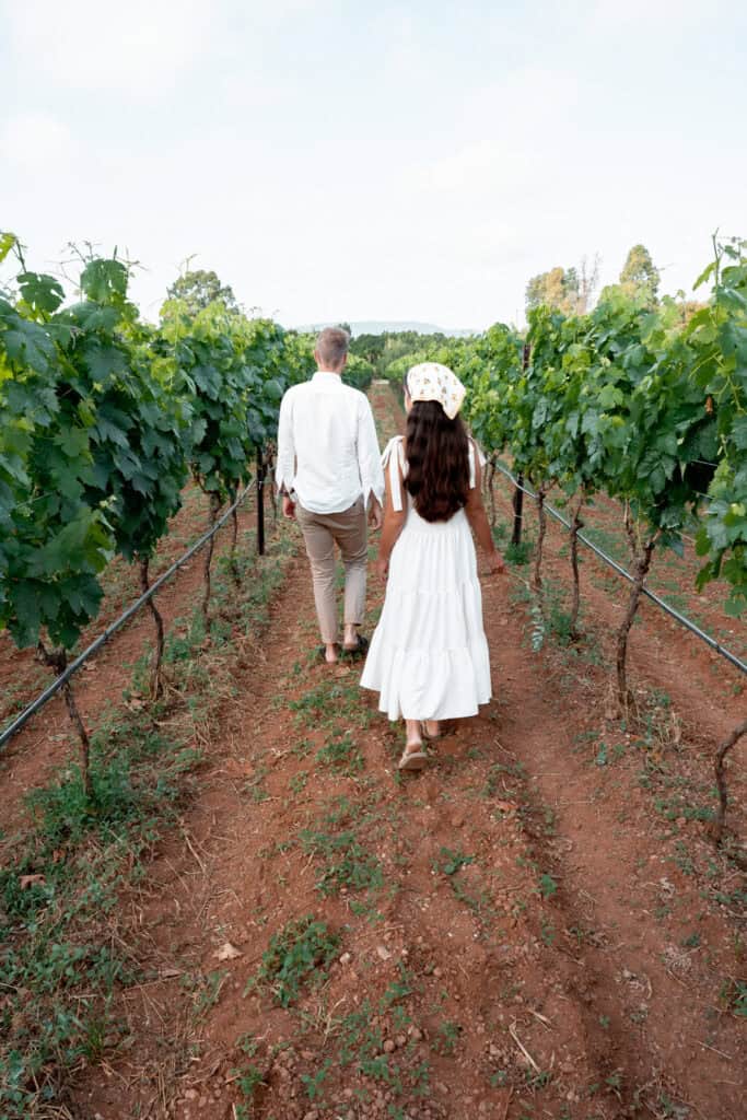 Masseria Montenapoleone In Puglia: Our Unforgettable Stay 17 Masseria Montenapoleone Vineyards