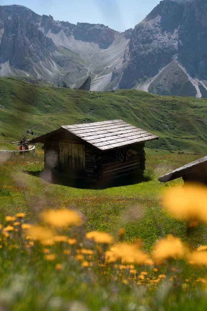 Seceda Hike Travel Guide