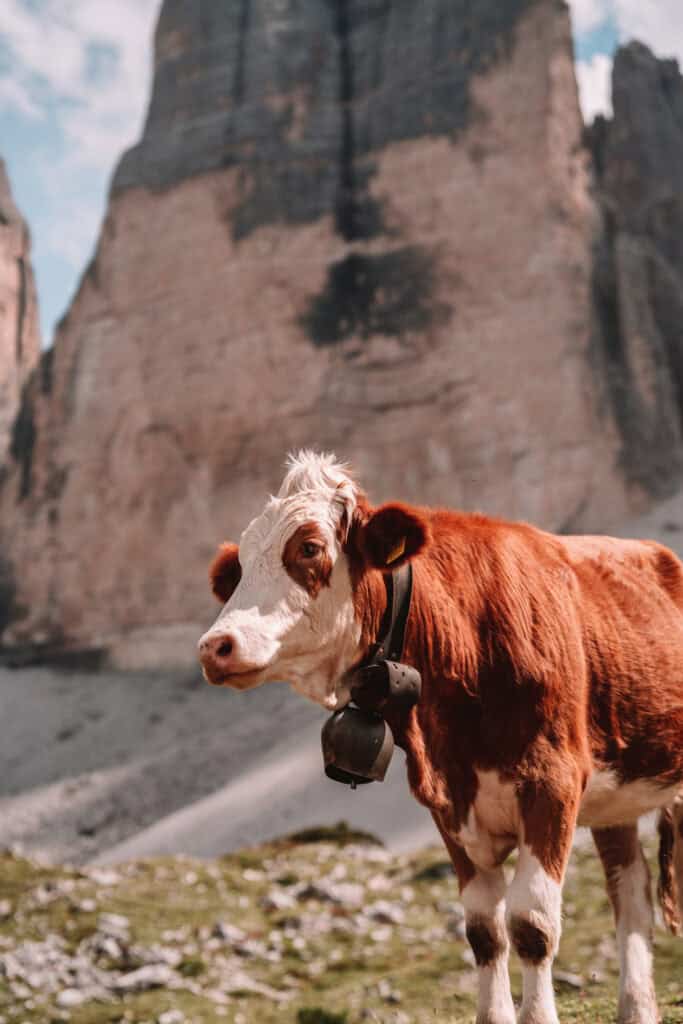 Dolomites Travel Guide