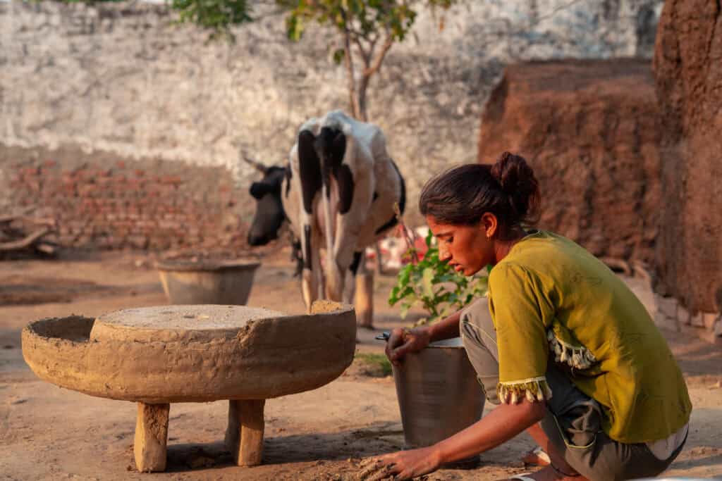 Day trip from agra to a local village