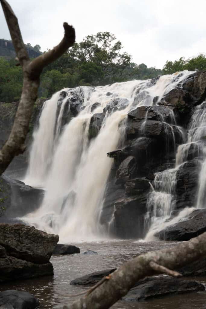 Natural park of kerala