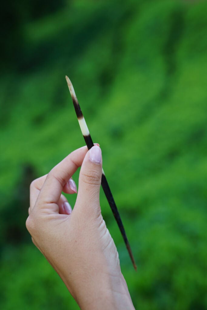 Visit a tea plantation in Kerala, India