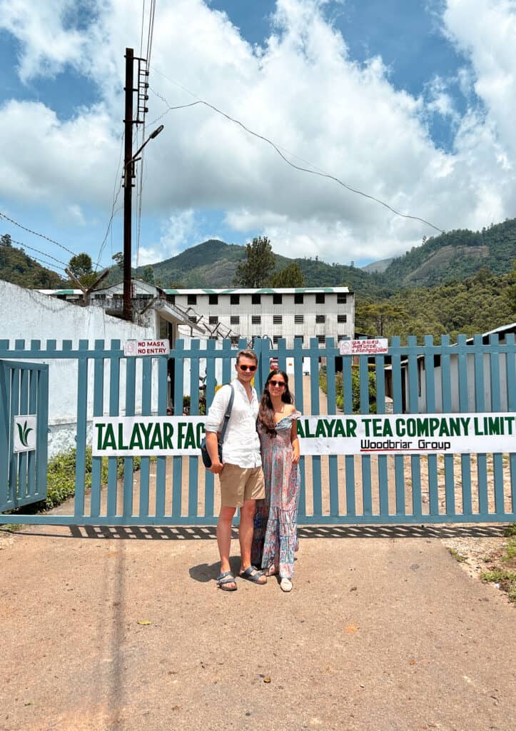 Visit a tea plantation in Kerala, India