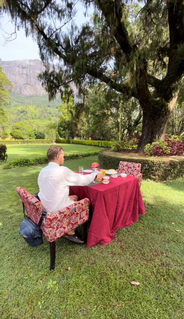 Visit a tea plantation in Kerala, India